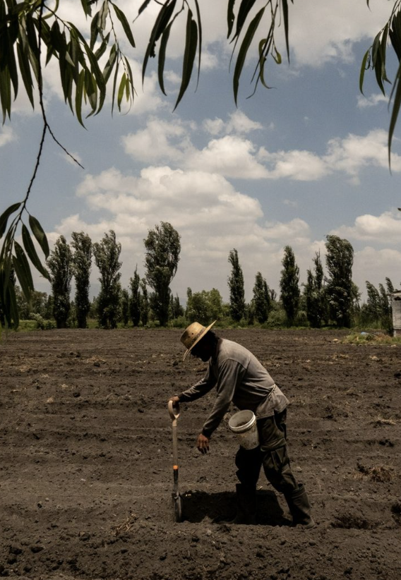 Historia de Nitrogen